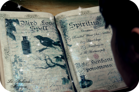 Da Magia à Sedução (Practical Magic, 1998)