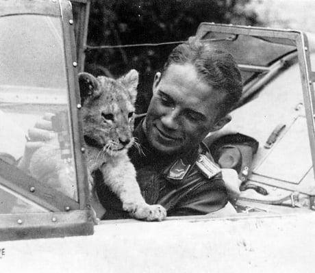Franz Von Werra, aquele que não se deixa capturar