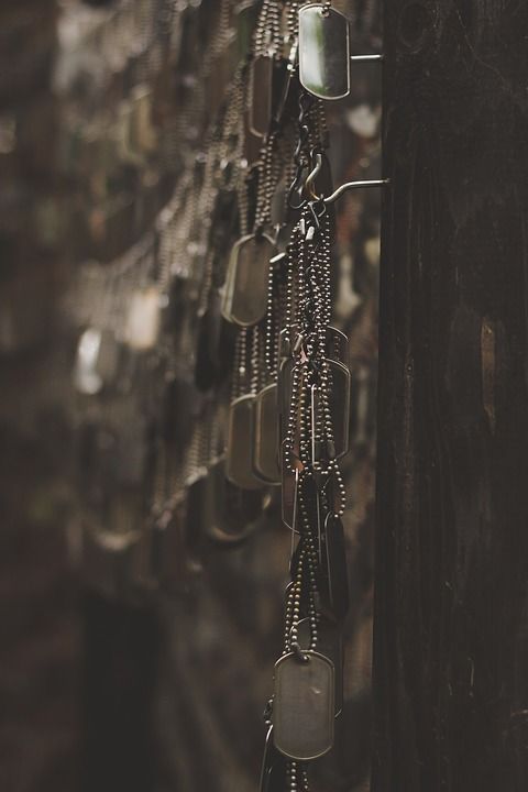 História da Dog Tag