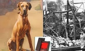 O cão que desativou uma bomba na II Guerra