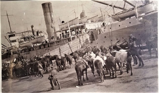 Os cavalos na Guerra